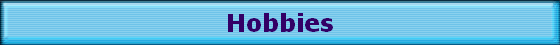 Hobbies
